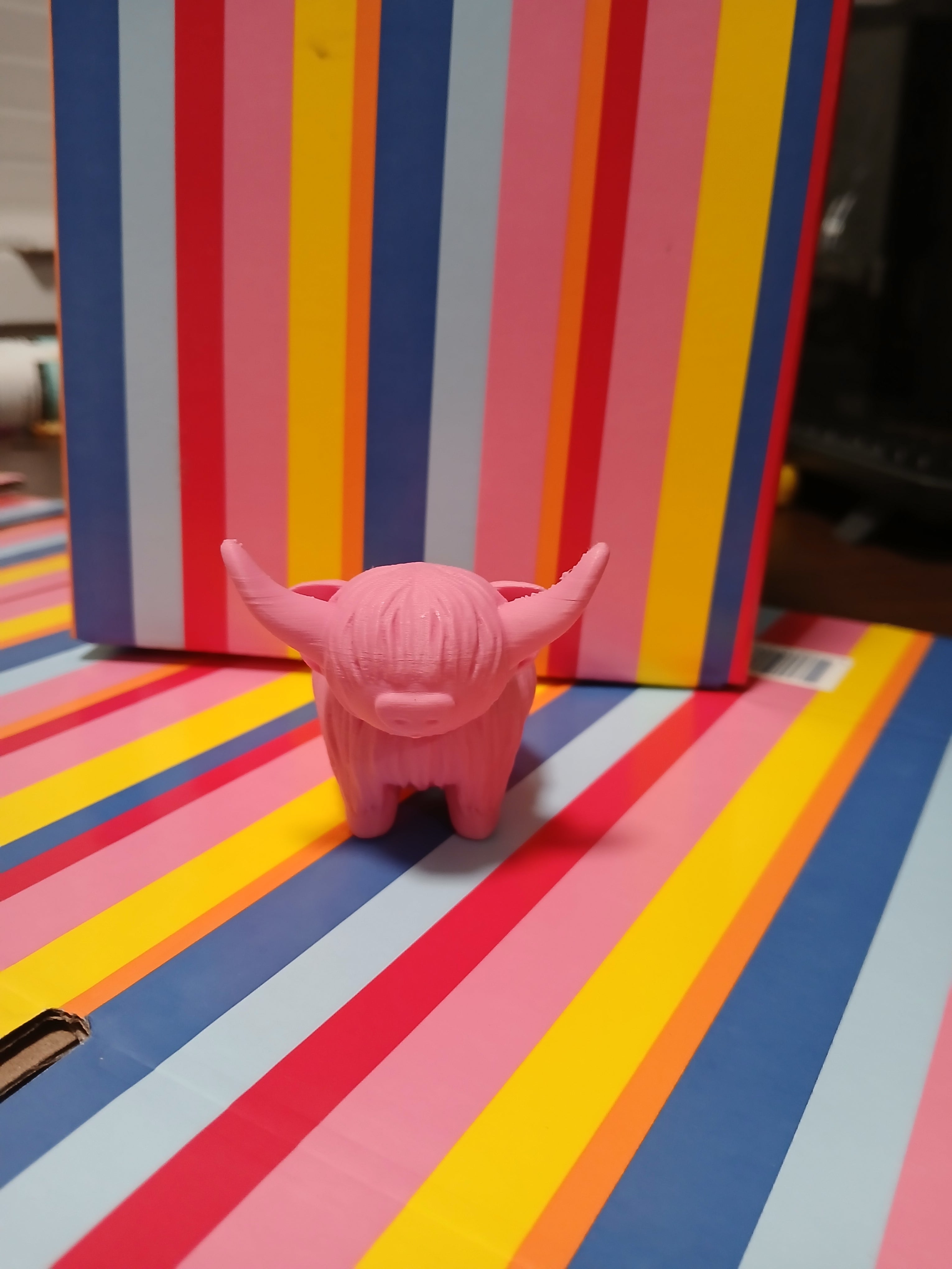 Pink Hiland Cow